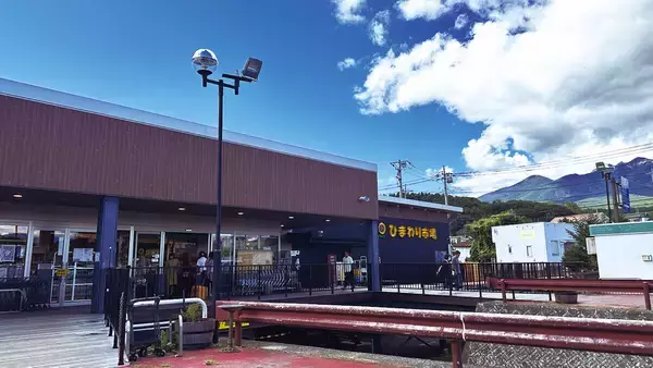 【ご当地スーパー】名物社長の熱血マイクパフォーマンスも面白POPも無料で楽しめる! 山梨県「ひまわり市場」