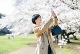 「お花見、9割超が「スマホで写真を撮る」と回答 - 充電で困った経験は?」の画像1