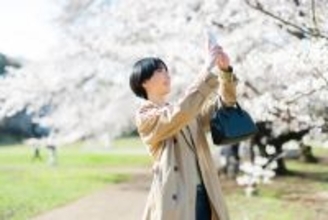 お花見、9割超が「スマホで写真を撮る」と回答 - 充電で困った経験は?