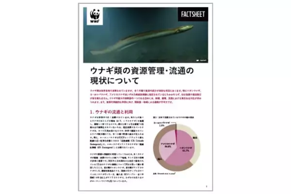 鰻の蒲焼、国内小売店で販売されている4割が「アメリカウナギ」、取引が世界的に急増 - WWFジャパンと中央大学が共同発表