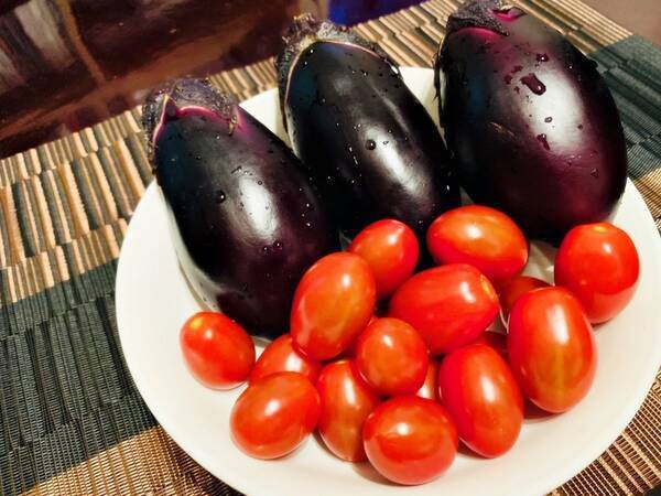 トマトもナスも味が濃い サントリー本気野菜 は自然の恵みのごちそうだった 年5月28日 エキサイトニュース