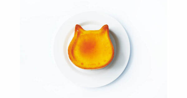 東京と神奈川にとろけるプリン 猫形チーズケーキが買える店舗がオープン 年7月23日 エキサイトニュース
