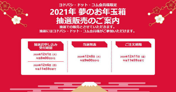 ヨドバシ 21年 夢のお年玉箱 の受付開始 抽選結果は12月8日 エキサイトニュース