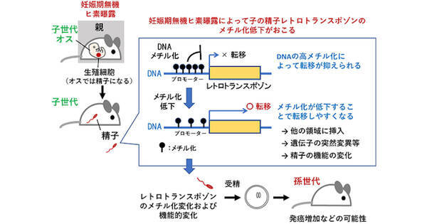 エキサイト