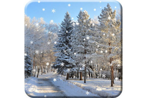 毎日がアプリディ もうすぐ終わる冬を惜しむ雪がしんしんと降るライブ壁紙 冬の雪ライブ壁紙無料 Pro 21年2月16日 エキサイトニュース