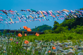１日早く知っていれば スポンジが傷まないカレー鍋の洗い方が話題 21年4月29日 エキサイトニュース