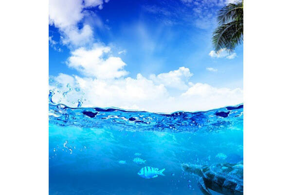毎日がアプリディ 暑くなっても美しい海の壁紙で爽快感アップ 海ライブ壁紙 21年5月13日 エキサイトニュース