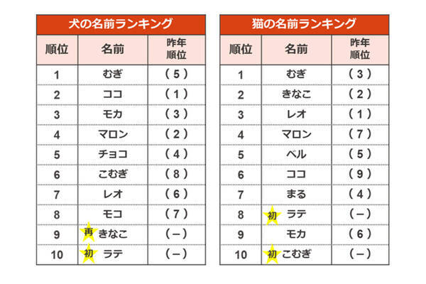 21年ペットの名前ランキング 1位は犬 猫ともに同じ名前に 21年5月15日 エキサイトニュース