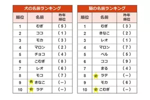 猫の名前ランキング 2年連続1位に輝いたのは 21年2月22日 エキサイトニュース