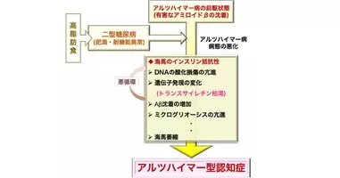 女子アナ 大神いずみに残酷な診断 食事制限も運動もしているのに 糖尿病 18年7月10日 エキサイトニュース