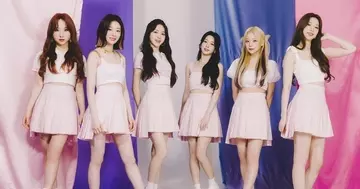 高橋朱里のニュース 芸能総合 8件 エキサイトニュース