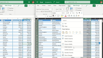 Excelのカスタマイズ"ビュー"を提供する機能がアップデート
