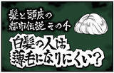「【漫画】髪と頭皮の都市伝説 第4回 【漫画】白髪の人は薄毛になりにくい?」の画像1
