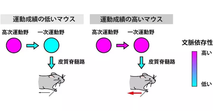 Ulpwfd2axpeosm Ulpwfd2axpeosm