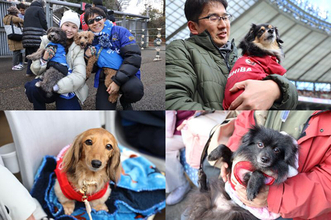 味スタが“ワンダフル”に! 日本ラグビー界初の「ドッグシート」登場 - 東芝ブレイブルーパス東京の開幕戦レポ