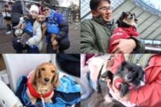 味スタが“ワンダフル”に! 日本ラグビー界初の「ドッグシート」登場 - 東芝ブレイブルーパス東京の開幕戦レポ