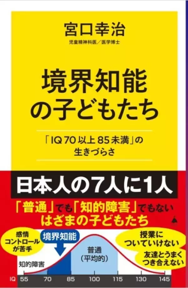 「日本人の7人に1人が普通でも知的障害でもない「境界知能」 - 『ケーキの切れない非行少年たち』著者による解説本が登場」の画像