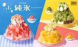 「ココス「純氷ふわふわかき氷」第1弾、定番フレーバー3種登場 – 追いシロップ付き」の画像1