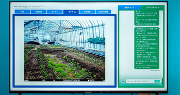 遠隔地から栽培支援を受けてタマネギを生産 - AIなどを活用した新しい営農支援の取り組みとは？