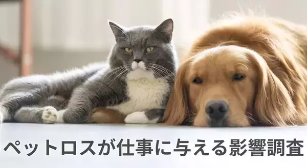 ペットロスで「仕事に支障」約7割、それでも出勤を続ける人が多数派に - 背景は?