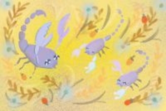 【2025年11月28日の運勢】12星座占いランキング(総合運・恋愛運・金運・仕事運・健康運)