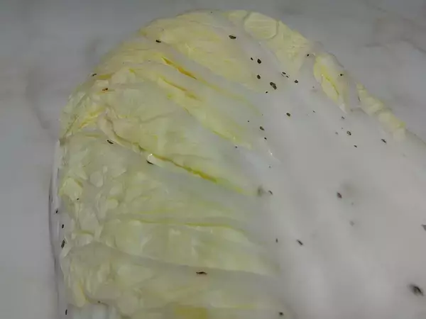 【それ、捨ててない?】白菜の黒い点々、その正体に9.9万いいね集まる - 農水省が「捨てないでください!」と呼びかけ