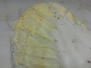 【それ、捨ててない?】白菜の黒い点々、その正体に9.9万いいね集まる - 農水省が「捨てないでください!」と呼びかけ