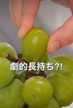 【神テク】ぶどうが劇的長持ちする保存術、たった1秒すればいい"あること"とは?