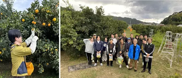 【ウテナ×ウエルシアグループ】高知県北川村「ゆず」の収穫をサポート