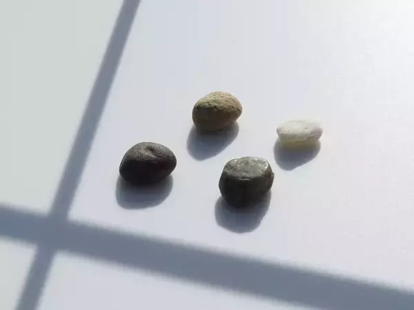 窓辺の小石 第239回 木曜日のAI