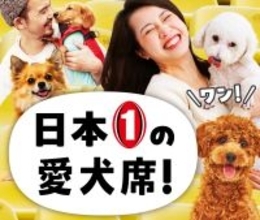 愛犬と一緒に味スタへ! 東芝ブレイブルーパス東京が描く、“ワン”ダフルで新しいラグビーの未来