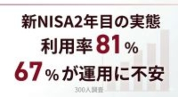 個人投資家300人に聞いた「新NISAの年間投資額はいくら?」