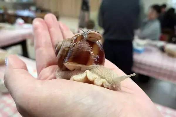 日本酒に松阪牛、日本で唯一の「エスカルゴ牧場」も! “美食の天国”三重の魅力を徹底解剖