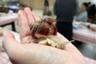 日本酒に松阪牛、日本で唯一の「エスカルゴ牧場」も! “美食の天国”三重の魅力を徹底解剖