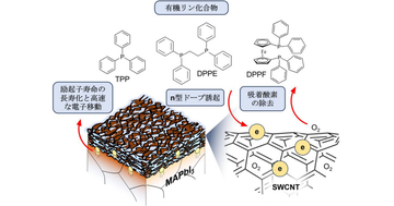 名大など、n型単層CNT電極でペロブスカイト太陽電池の耐久性向上を実現