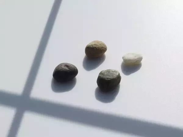 窓辺の小石 第238回 ハンドラのひらくとき