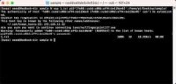 なんとなくコマンド 第99回 ファイルのネットワークコピー（scp)