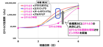 冬場にも浴室に生育する「複数種の黒カビ」がピンク汚れの原因菌を促進することが明らかに - ライオン