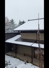 【雪国あるある】新潟県民が震える"最恐の雪"とは? -「怖いのはここから、ここからだよ…」「朝外見るのが怖い」と共感の声集まる