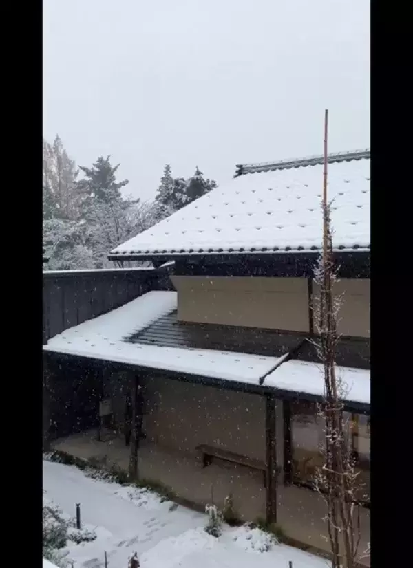 【雪国あるある】新潟県民が震える"最恐の雪"とは? -「怖いのはここから、ここからだよ…」「朝外見るのが怖い」と共感の声集まる