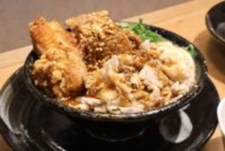 【肉盛り】うどんが見えないほど肉肉肉!!! 新コンセプト店「はなまるうどん肉店」で食べてきた