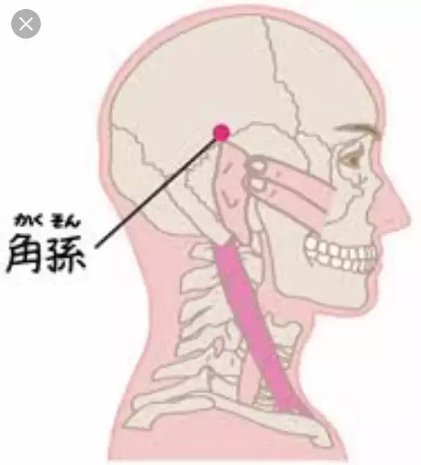 「知っておきたい！眼精疲労におススメの対処法」の画像