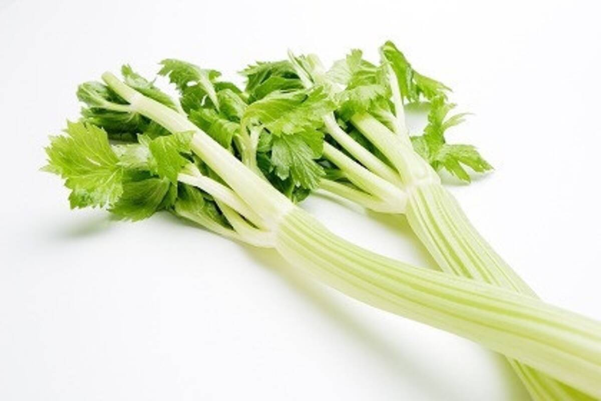 セロリの驚くべき効果効能 22年10月2日 エキサイトニュース セロリの驚くべき効果効能 22年10月2日 エキサイトニュース