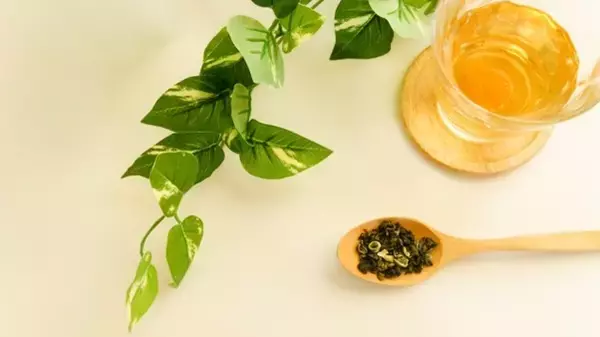 「いいとこ取りダイエット!?旧石器時代の食事法」の画像