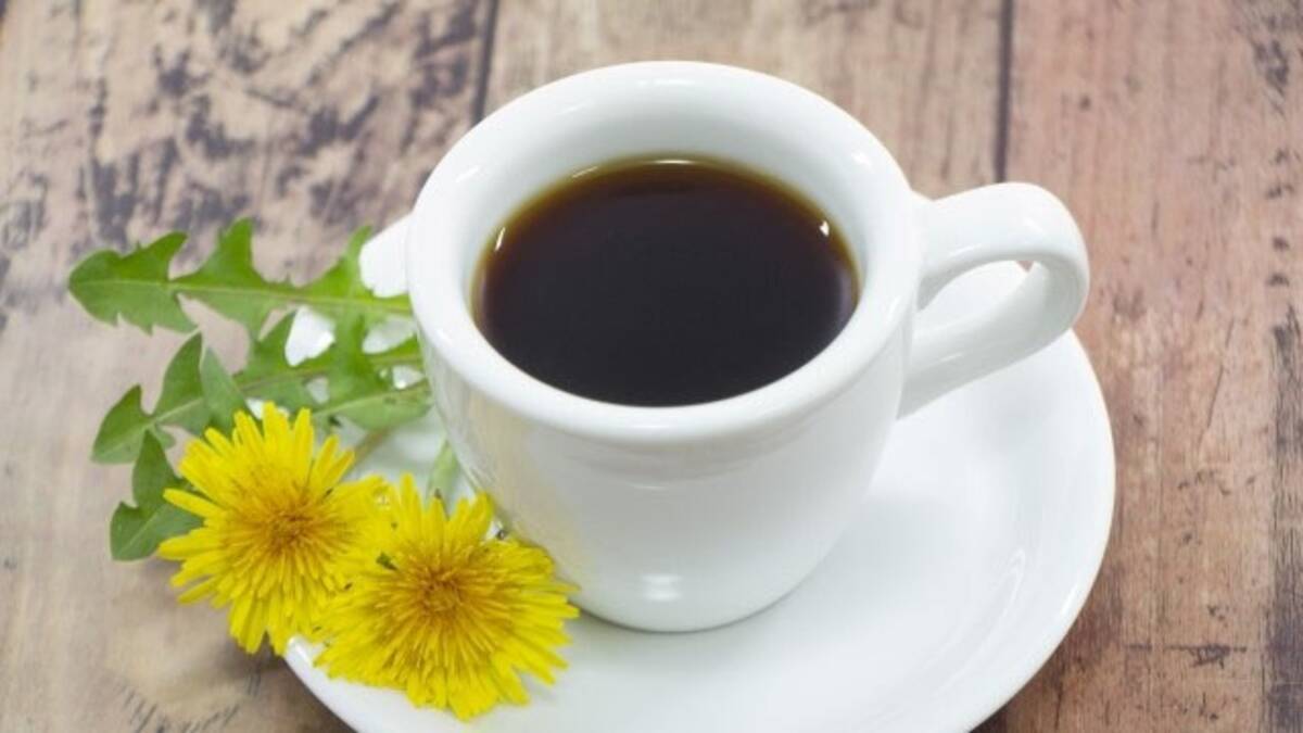 ノンカフェイン 植物の恵みたっぷりの タンポポコーヒー とは 22年11月21日 エキサイトニュース ノンカフェイン 植物の恵みたっぷりの タンポポコーヒー とは 22年11月21日 エキサイトニュース
