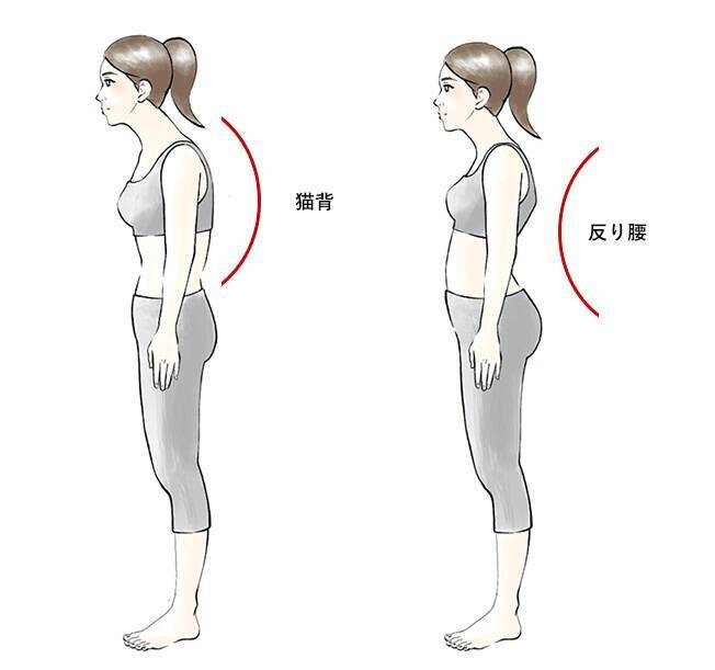 良い姿勢をキープして痛みを改善！ 腰痛改善トレーニング