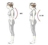 「良い姿勢をキープして痛みを改善！ 腰痛改善トレーニング」の画像3