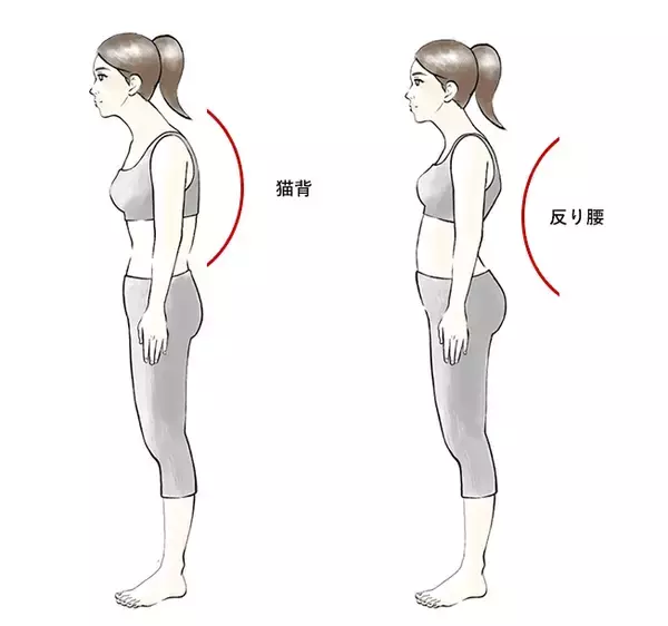 「良い姿勢をキープして痛みを改善！ 腰痛改善トレーニング」の画像