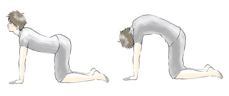 良い姿勢をキープして痛みを改善！ 腰痛改善トレーニング