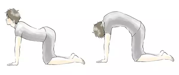 「良い姿勢をキープして痛みを改善！ 腰痛改善トレーニング」の画像